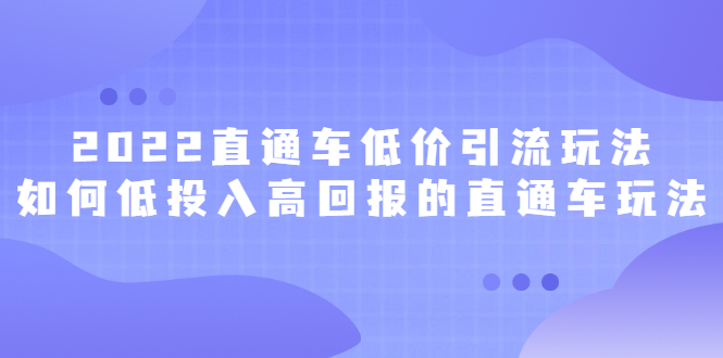2022直通车低价引流玩法，教大家如何低投入高回报的直通车玩法-烽云网
