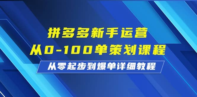 拼多多新手运营从0-100单策划课程，从零起步到爆单详细教程-烽云网