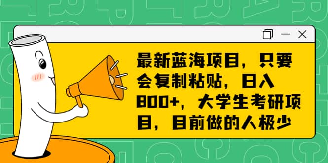最新蓝海项目,只要会复制粘贴,日入800+,大学生考研项目,目前做的人极少-烽云网