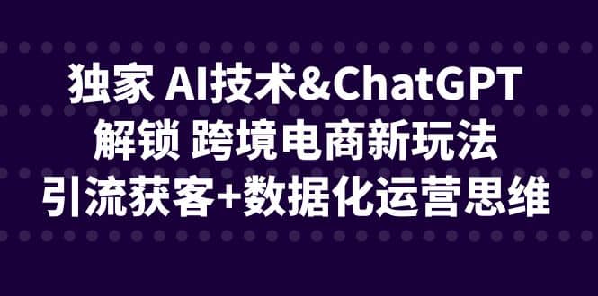 独家 AI技术ChatGPT解锁 跨境电商新玩法，引流获客+数据化运营思维-烽云网