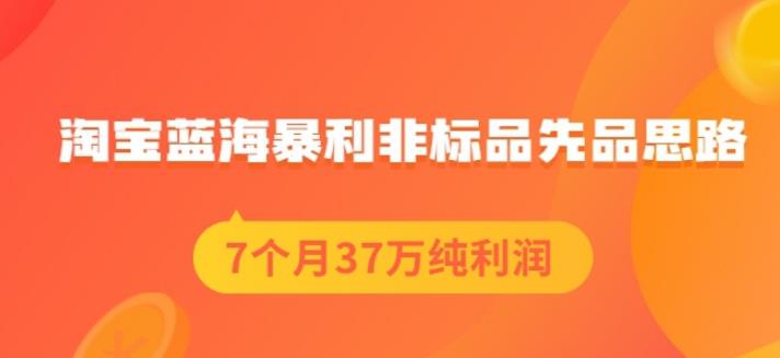 盗坤淘宝蓝海暴利非标品先品思路,7个月37万纯利润,压箱干货分享!【付费文章】-烽云网