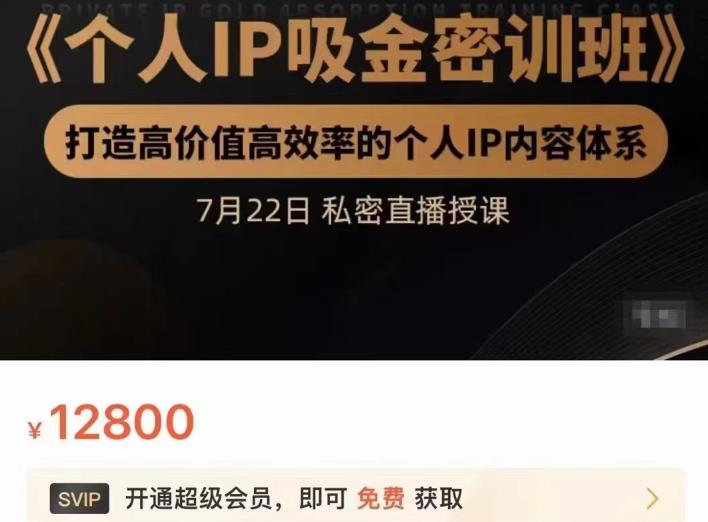 个人IP吸金密训班，打造高价值高效率的个人IP内容体系（价值12800元）-烽云网