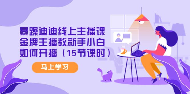暴躁迪迪线上主播课，金牌主播教新手小白如何开播（15节课时）-烽云网
