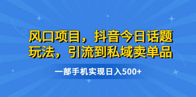 风口项目，抖音今日话题玩法，引流到私域卖单品，一部手机实现日入500+-烽云网