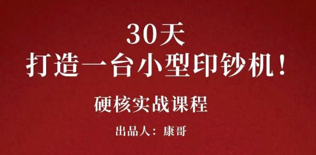 康哥30天打造一台小型印钞机：躺赚30万的项目完整复盘（视频教程）-烽云网