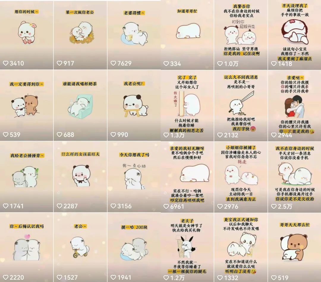 抖音表情包小程序变现项目，一条龙玩法详细大解析，视频版学习-烽云网