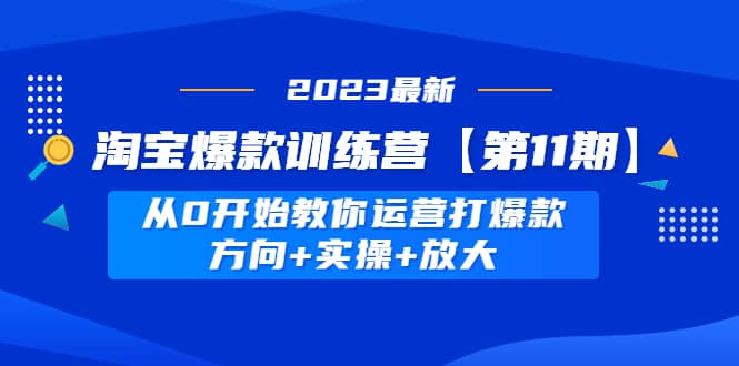 淘宝爆款训练营【第11期】 从0开始教你运营打爆款，方向+实操+放大-烽云网