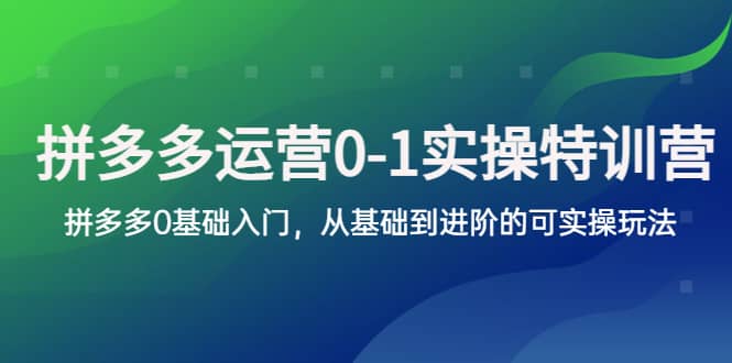 拼多多-运营0-1实操训练营,拼多多0基础入门,从基础到进阶的可实操玩法-烽云网