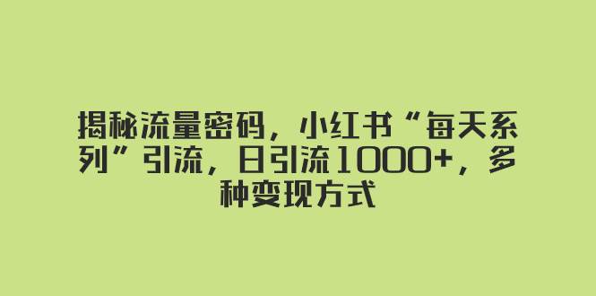 揭秘流量密码，小红书“每天系列”引流，日引流1000+，多种变现方式-烽云网