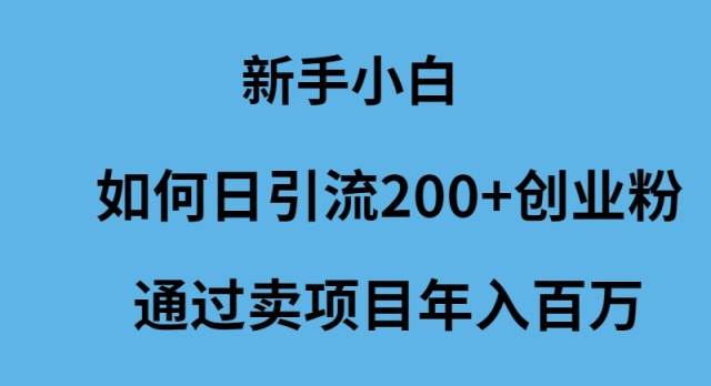 新手小白如何日引流200+创业粉通过卖项目年入百万-烽云网