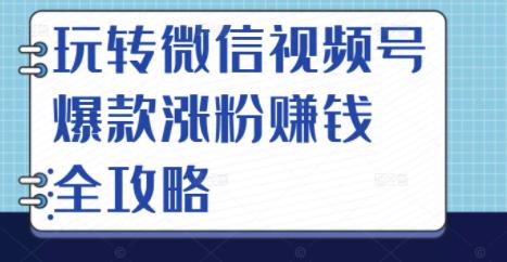 玩转微信视频号爆款涨粉赚钱全攻略，让你快速抓住流量风口，收获红利财富-烽云网