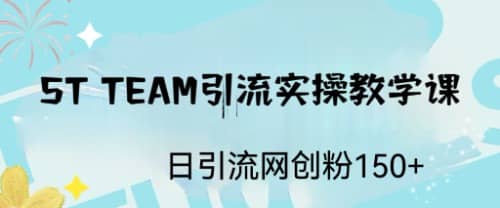 ST TEAM引流实操课，日引流网创粉100+-烽云网
