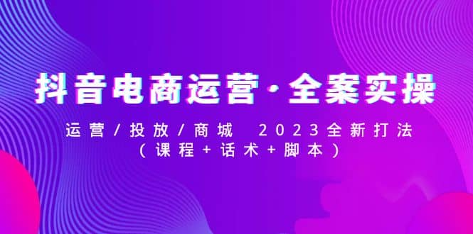 抖音电商运营·全案实操:运营/投放/商城 2023全新打法-烽云网