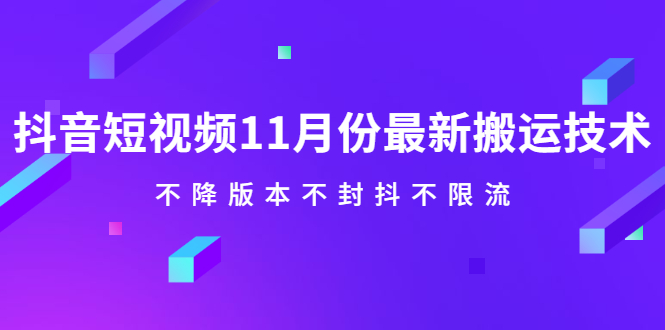 抖音短视频11月份最新搬运技术，不降版本不封抖不限流！【视频课程】-烽云网
