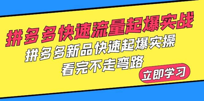 拼多多-快速流量起爆实战，拼多多新品快速起爆实操，看完不走弯路-烽云网
