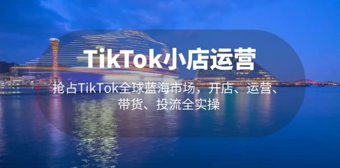 TikTok小店运营 抢占TikTok全球蓝海市场,开店、运营、带货、投流全实操-烽云网