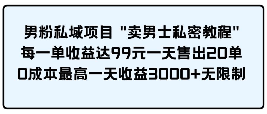 男粉私域项目 卖男士私密教程 每一单收益达99元一天售出20单-烽云网