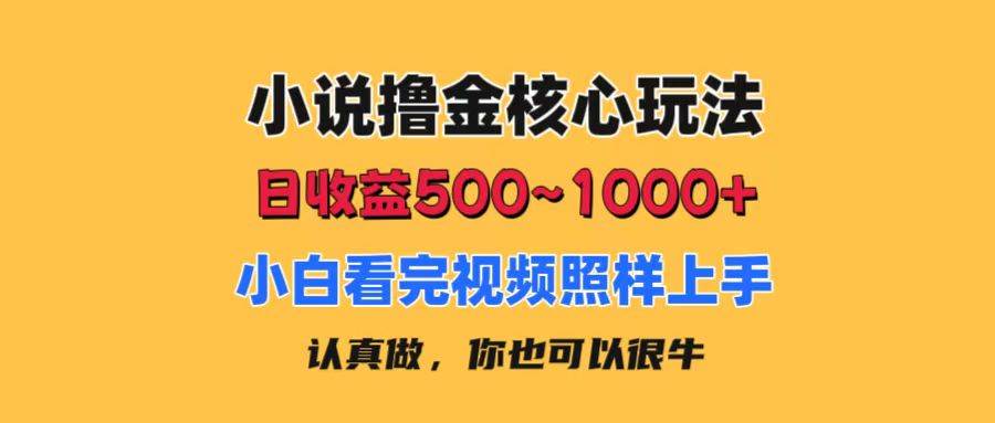 小说撸金核心玩法,日收益500-1000+,小白看完照样上手,0成本有手就行-烽云网
