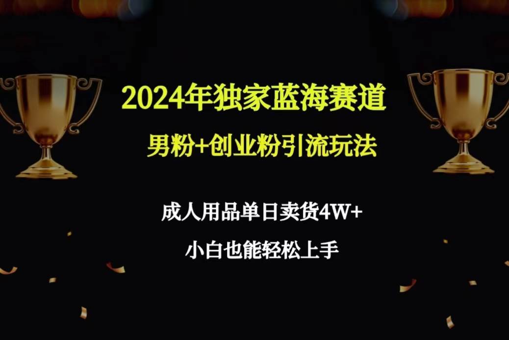 2024年独家蓝海赛道男粉+创业粉引流玩法，成人用品单日卖货4W+保姆教程-烽云网