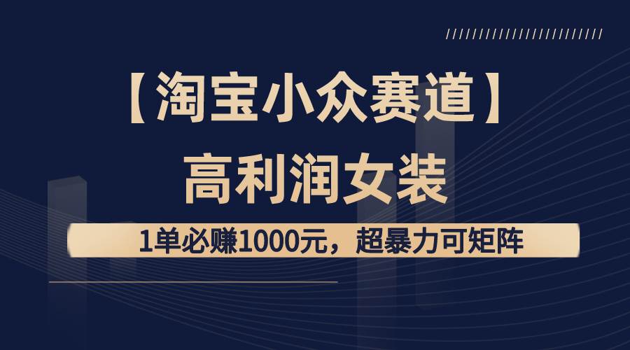 【淘宝小众赛道】高利润女装：1单必赚1000元，超暴力可矩阵-烽云网