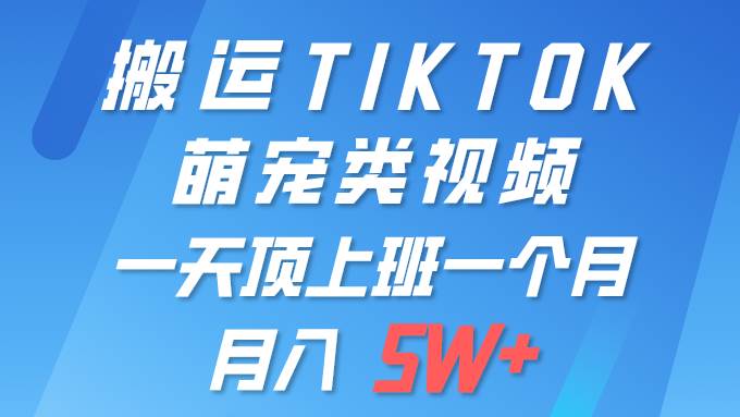 一键搬运TIKTOK萌宠类视频 一部手机即可操作 所有平台均可发布 轻松月入5W+-烽云网
