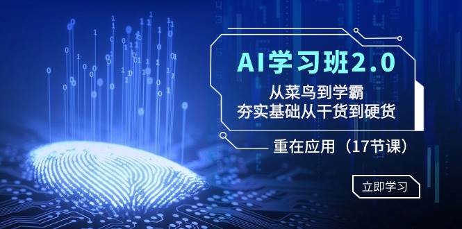 AI学习班2.0：从菜鸟到学霸，夯实基础从干货到硬货，重在应用（17节课）-烽云网