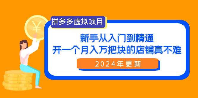 拼多多虚拟项目：入门到精通，开一个月入万把块的店铺 真不难（24年更新）-烽云网