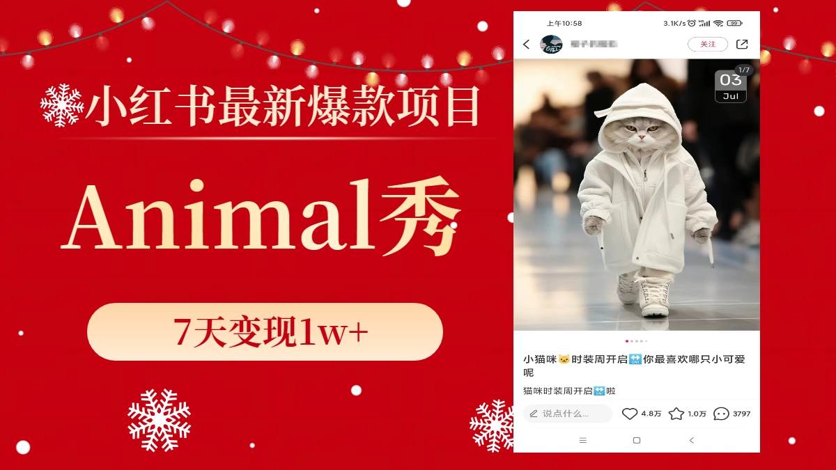 小红书最新爆款项目，Animal秀，7天变现1w+-烽云网