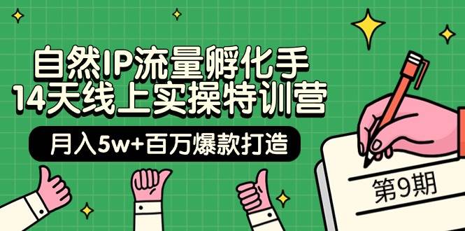 自然IP流量孵化手 14天线上实操特训营【第9期】月入5w+百万爆款打造 (74节)-烽云网