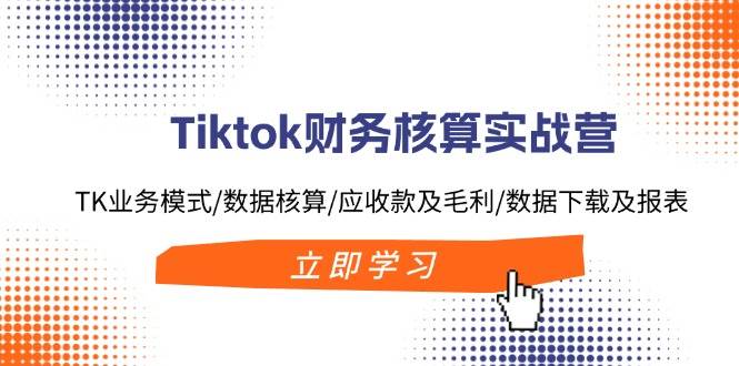 Tiktok财务核算实战营：TK业务模式/数据核算/应收款及毛利/数据下载及报表-烽云网