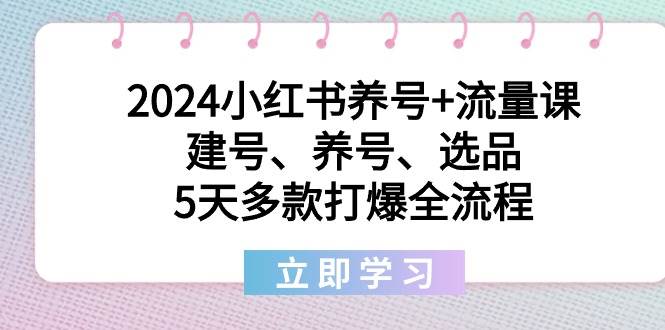 2024小红书养号+流量课:建号、养号、选品,5天多款打爆全流程-烽云网