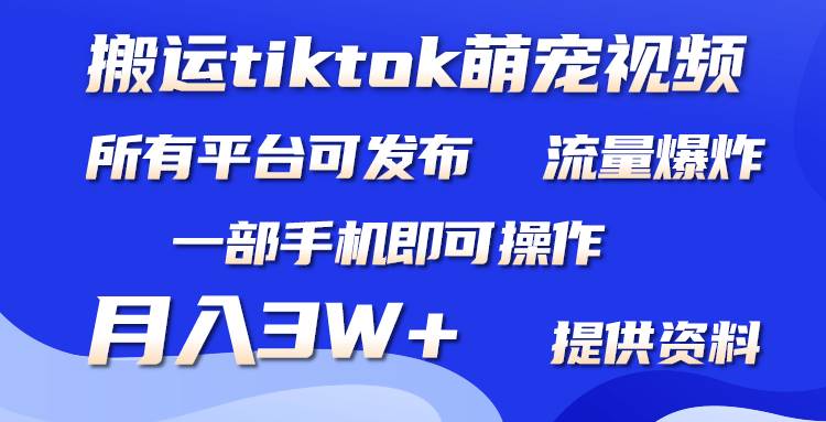 搬运Tiktok萌宠类视频，一部手机即可。所有短视频平台均可操作，月入3W+-烽云网