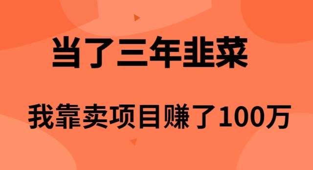 当了3年韭菜，我靠卖项目赚了100万-烽云网