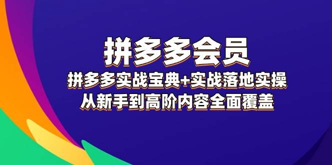 拼多多 会员，拼多多实战宝典+实战落地实操，从新手到高阶内容全面覆盖-烽云网