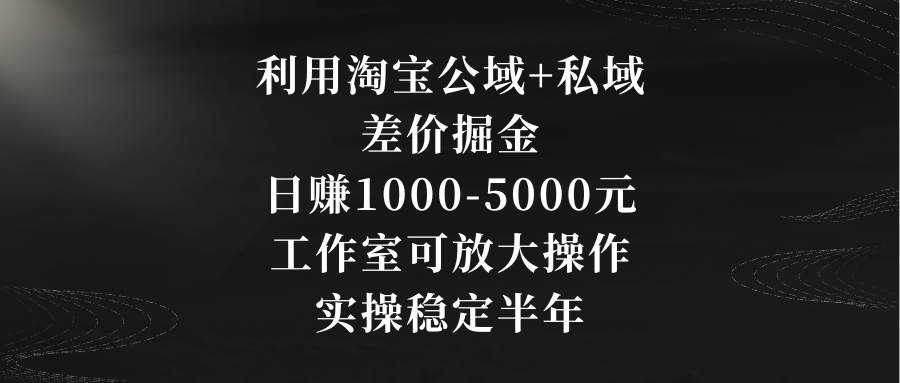 利用淘宝公域+私域差价掘金,日赚1000-5000元,工作室可放大操作,实操…-烽云网