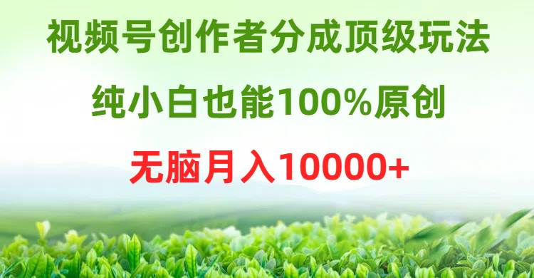 视频号创作者分成顶级玩法，纯小白也能100%原创，无脑月入10000+-烽云网