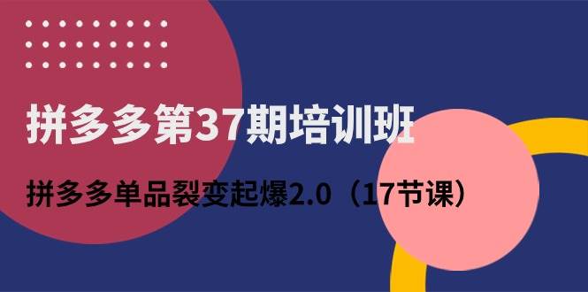 拼多多第37期培训班：拼多多单品裂变起爆2.0（17节课）-烽云网