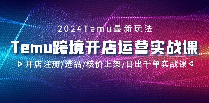 2024Temu跨境开店运营实战课,开店注册/选品/核价上架/日出千单实战课-烽云网