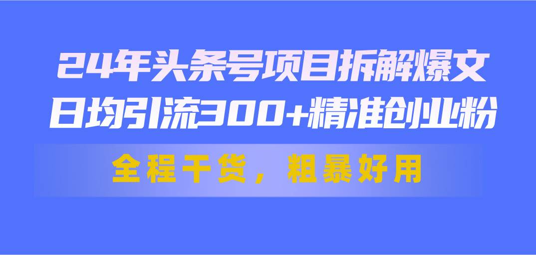 24年头条号项目拆解爆文，日均引流300+精准创业粉，全程干货，粗暴好用-烽云网