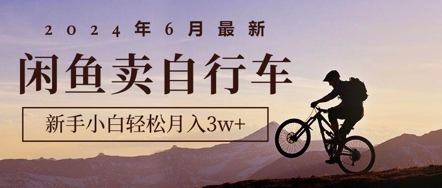2024年6月最新闲鱼卖自行车，新手小白轻松月入3w+项目-烽云网