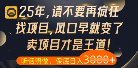 什么？25年你还在疯狂找项目做，醒醒吧，看完这些你全都懂了【揭秘】-烽云网