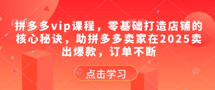 拼多多vip课程,零基础打造店铺的核心秘诀,助拼多多卖家在2025卖出爆款,订单不断-烽云网