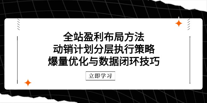 全站盈利布局方法:动销计划分层执行策略,爆量优化与数据闭环技巧-烽云网