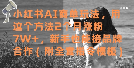 小红书AI商单玩法,用这个方法2个月涨粉7W+,新手也能接品牌合作(附全套指令模板)-烽云网