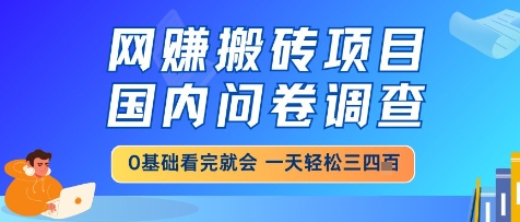 网创搬砖项目，国内问卷调查，小白轻松上手，一天三四张的也不难，干就完了【揭秘】-烽云网