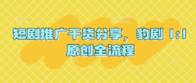 短剧推广干货分享,豹剧 1:1原创全流程-烽云网
