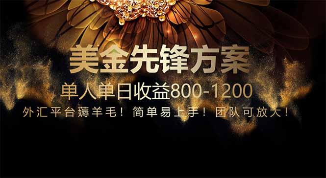 免费技术!小众赛道!一年布局抵三年努力,每日800+-烽云网