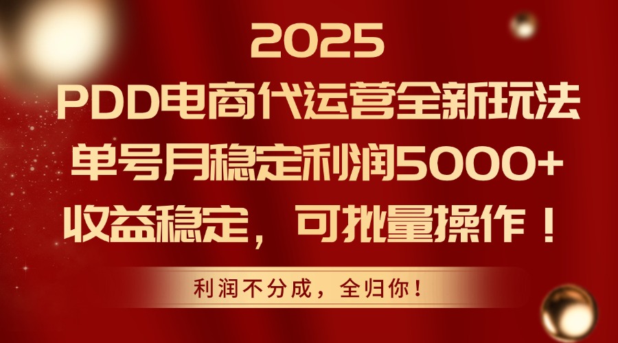2025PDD电商代运营全新玩法,单号月稳定利润5000+,收益稳定,可批量操作-烽云网