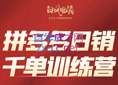 白凤电商·拼多多日销千单训练营(更新5月)-烽云网