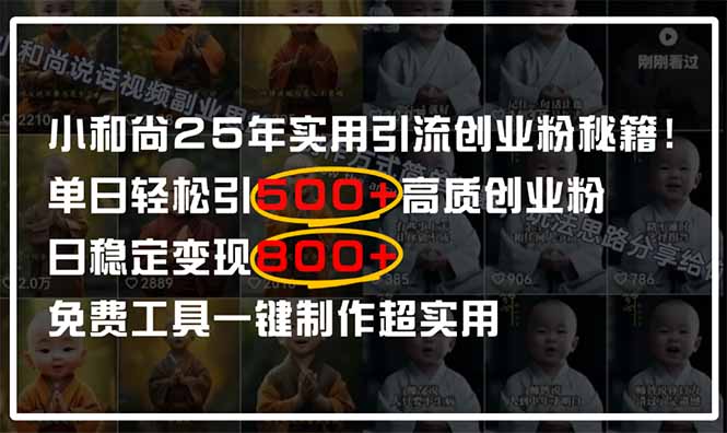 小和尚2024年实用引流秘籍！单日轻松引500+高质量创业粉，日变现800+，...-烽云网